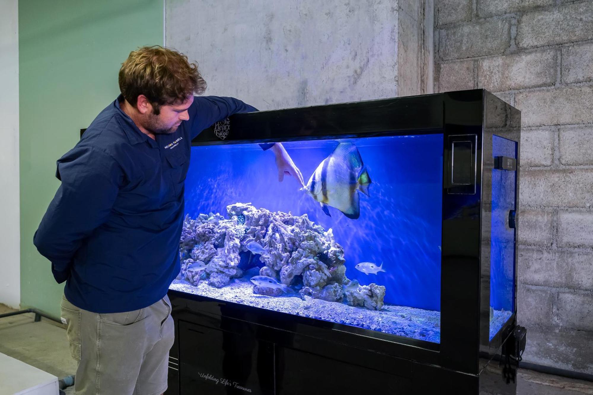 Voco Monaco Dubai By Ihg, Adults Only, World Islands Hotel Exterior photo Aquarium at the National Marine Aquarium